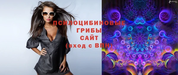 СК Бородино