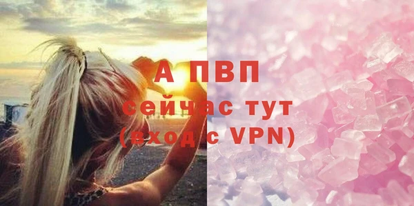 СК Бородино