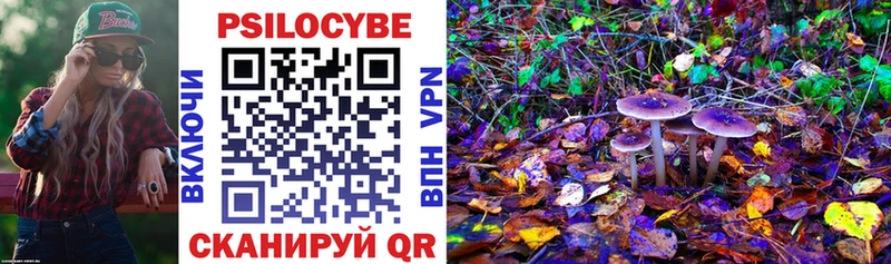маркетплейс состав  мега   Кадников  Псилоцибиновые грибы MAGIC MUSHROOMS 