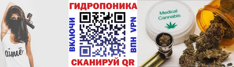 Шишки марихуана марихуана  дарнет шоп  Кадников 